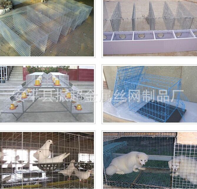 養殖電焊網 安平縣振超金屬絲網制品廠-www.szalgfl.cn