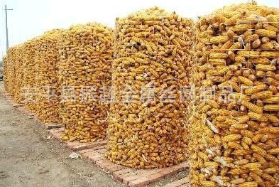 圏玉米電焊網(wǎng) 電焊網(wǎng)-www.szalgfl.cn
