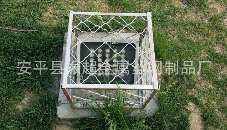 公園用美格網(wǎng) 公園防護網(wǎng)-www.szalgfl.cn