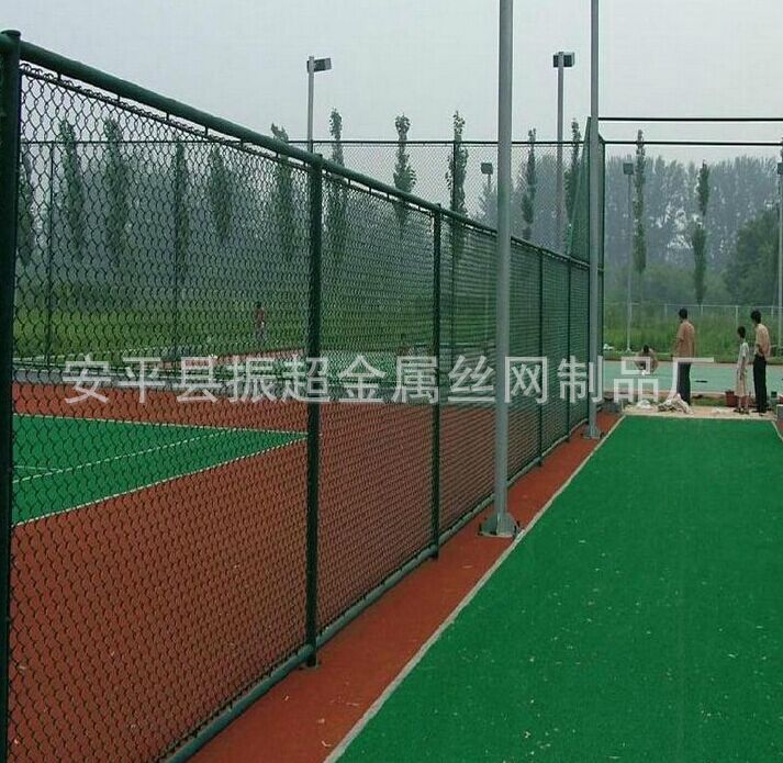 體育場勾花網(wǎng) 安平縣振超金屬絲網(wǎng)制品廠-www.szalgfl.cn