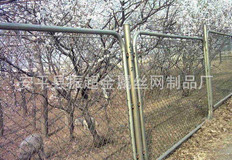 種植勾花網(wǎng) 安平縣振超金屬絲網(wǎng)制品廠-www.szalgfl.cn