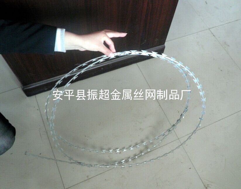 不銹鋼刺繩-安平縣振超金屬絲網制品廠www.szalgfl.cn