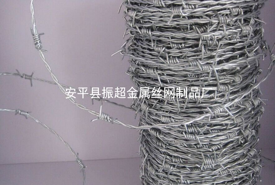 包鋁刺繩-安平縣振超金屬絲網(wǎng)制品廠www.szalgfl.cn