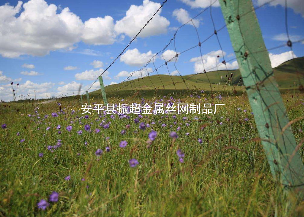 草原鐵絲網圍欄-www.szalgfl.cn