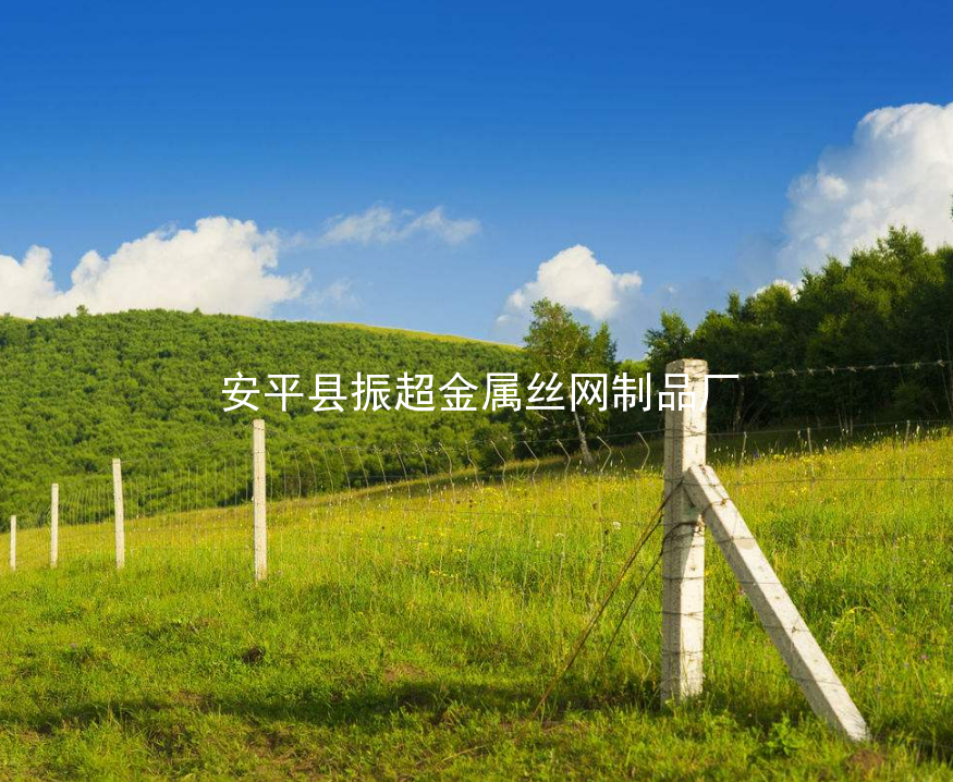 草原鐵絲網圍欄-www.szalgfl.cn
