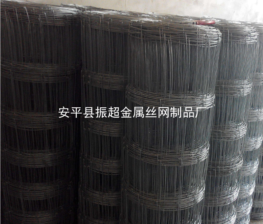 草原鐵絲網-www.szalgfl.cn