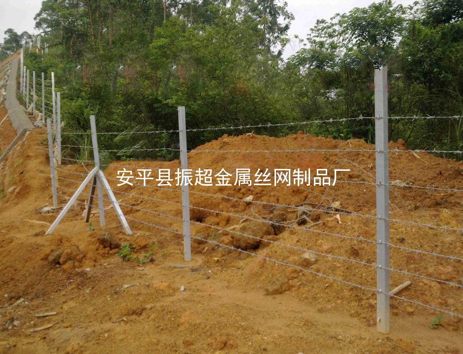 帶刺鐵絲網(wǎng)www.szalgfl.cn