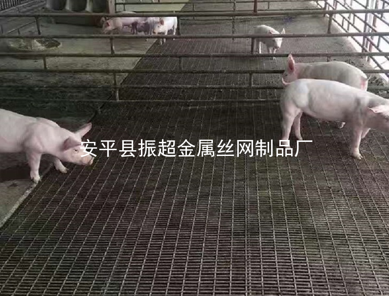 鐵絲網保育床,鐵絲網產床-www.szalgfl.cn