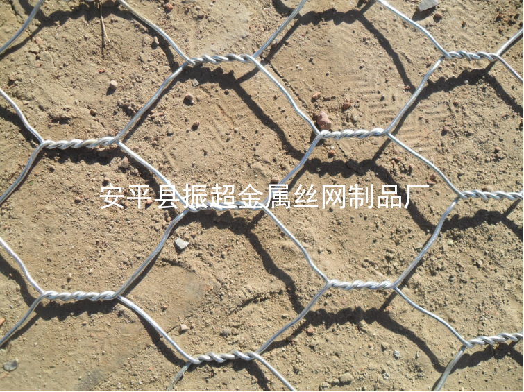 六角鐵絲網(wǎng)-www.szalgfl.cn
