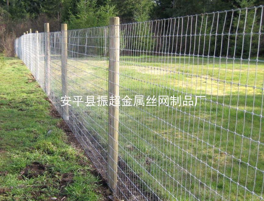 草原鐵絲網-www.szalgfl.cn