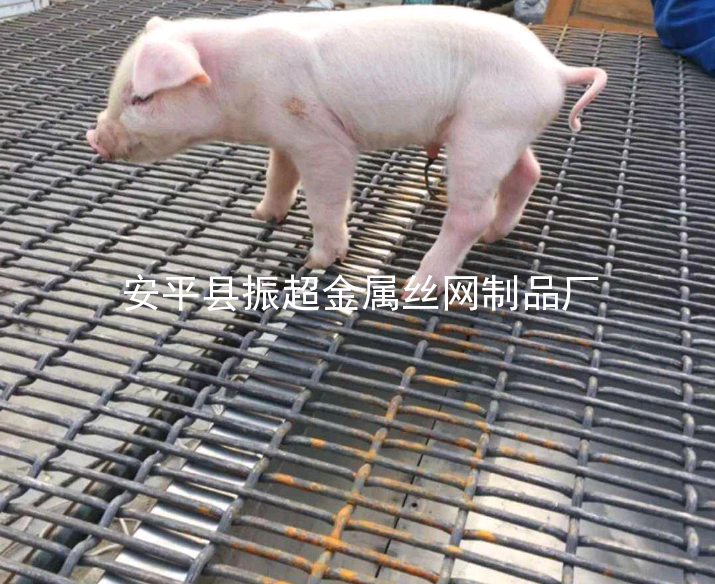 豬床鐵絲網-www.szalgfl.cn